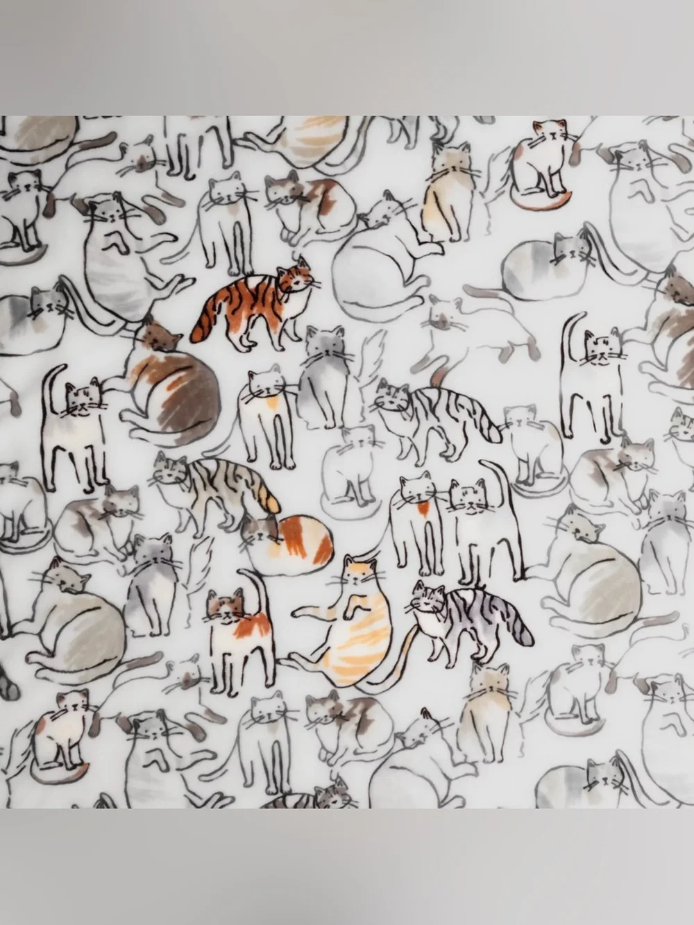 N/A blanket it cats